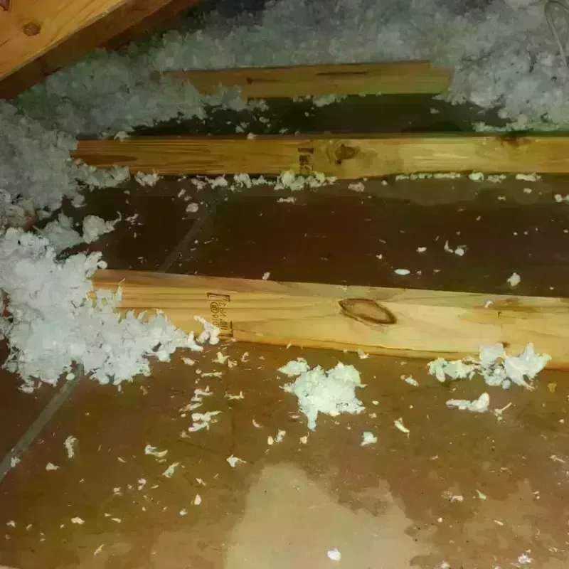 Attic Water Damage in Hoke County, NC