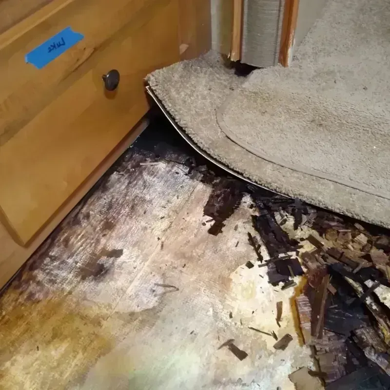 Best Wood Floor Water Damage Service in Hoke County, NC